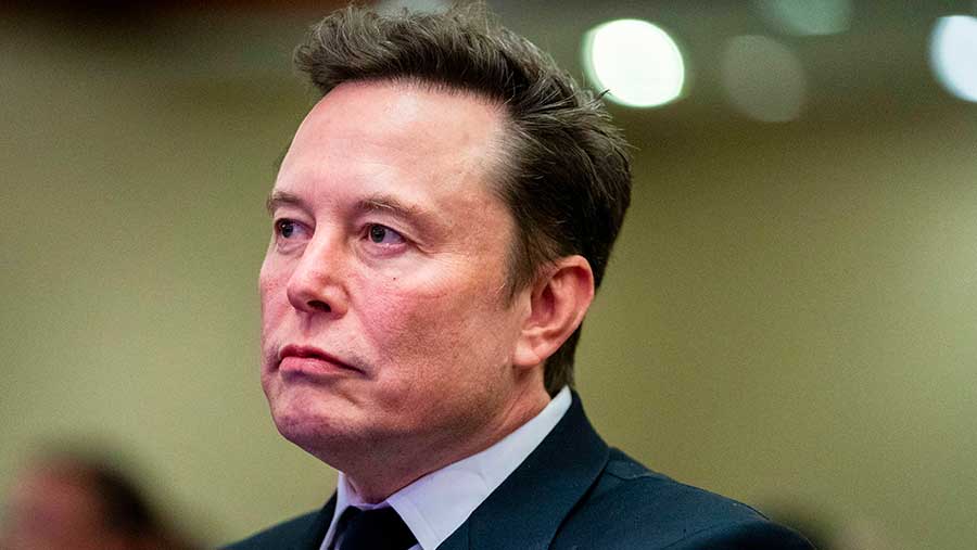 China Pertimbangkan Penjualan TikTok AS ke Elon Musk (Bloomberg)