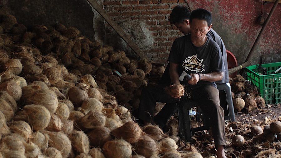 Harga kelapa tua di pasaran mengalami peningkatan yang signifikan.  (Bloomberg Technoz/Andrean Kristianto)