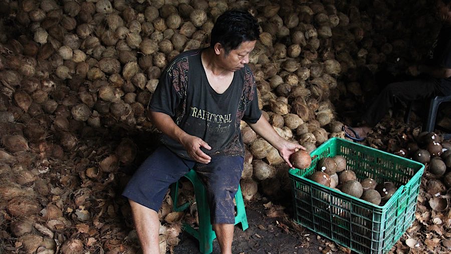 Pekerja memilih kelapa tua di kawasan Kramat Jati, Jakarta Timur, Kamis (17/4/2025). (Bloomberg Technoz/Andrean Kristianto)