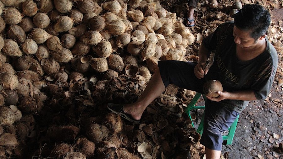 Pekerja mengupas kelapa parut di kawasan Kramat Jati, Jakarta Timur, Kamis (17/4/2025). (Bloomberg Technoz/Andrean Kristianto)