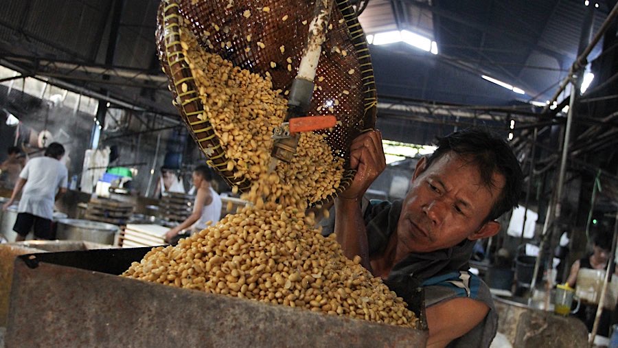 Harga kedelai impor mulai mengalami kenaikan sehingga dirasakan oleh perajin tahu  (Bloomberg Technoz/Andrean Kristianto)