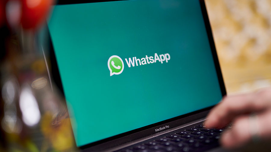 Ilustrasi WhatsApp Web (Gabby Jones/Bloomberg)