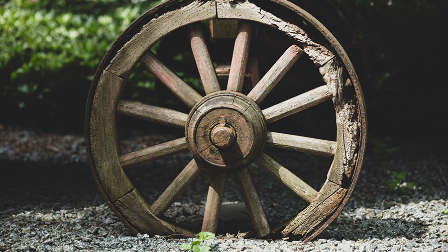 Ilustrasi Sejarah Roda (Envato)