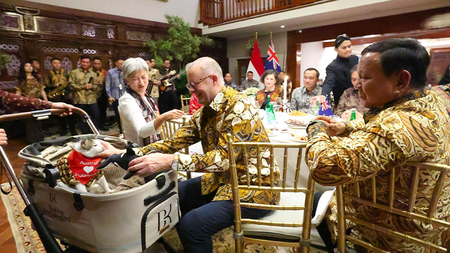 Makan Malam di Kertanegara, PM Australia Beri Kucing Prabowo Hadiah (Dok. Media Internal Prabowo)