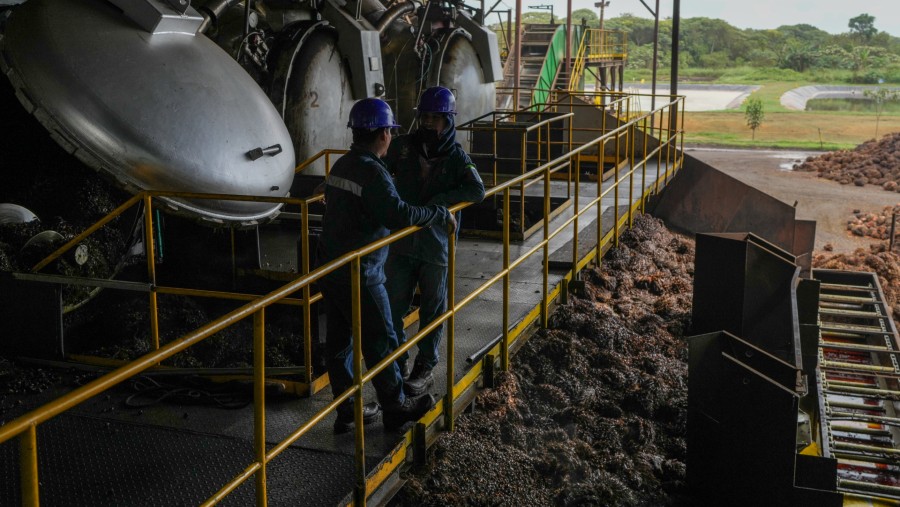 Mesin mengekstrak minyak kelapa sawit dari tandan buah segar di fasilitas pemrosesan./Bloomberg-Ivan Valencia