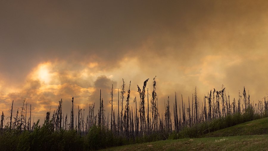 Musim kebakaran hutan di Kanada berlangsung dari Mei hingga September. (Nasuna Stuart-Ulin/Bloomberg)