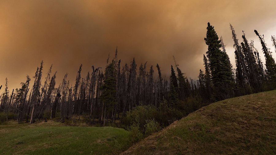 Kebakaran hutan hebat yang melanda wilayah barat Kanada memaksa 25 ribu penduduk mengungsi (Nasuna Stuart-Ulin/Bloomberg)