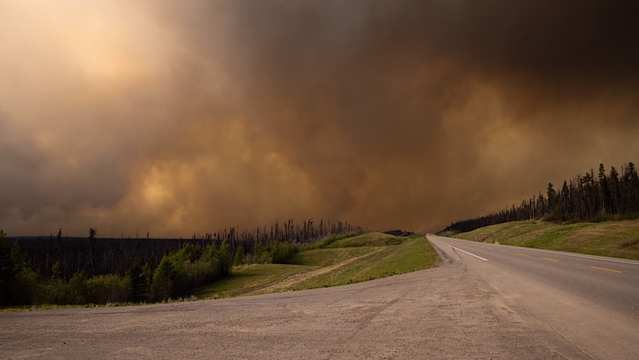 Kebakaran hutan terparah terjadi pada 2023 lalu. (Nasuna Stuart-Ulin/Bloomberg)