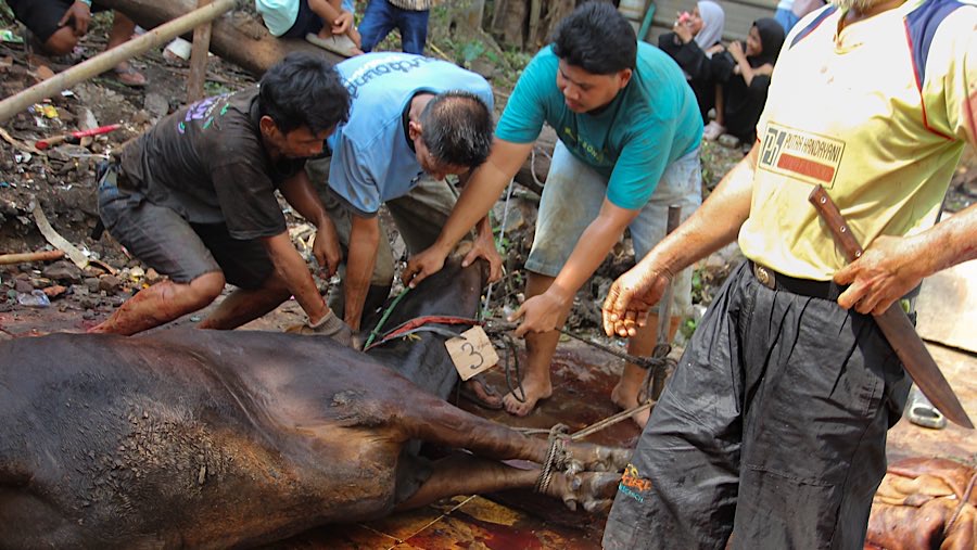 Umat Islam tengah merayakan Hari Raya Iduladha 1446 Hijriah dengan melaksanakan ibadah kurban. (Bloomberg Technoz/Andrean Kristianto)