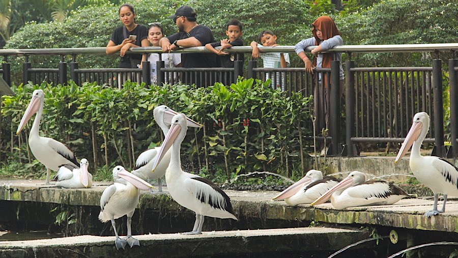Sedangkan untuk hari ini jumlah pengunjung hingga pukul 16.00 yaitu 9.911 wisatawan. (Bloomberg Technoz/Andrean Kristianto)