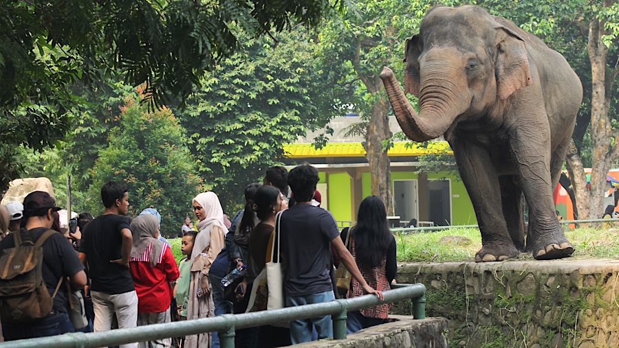 Taman Margasatwa Ragunan tetap dibuka untuk pengunjung pada hari ini, meskipun biasanya tutup setiap hari Senin (Bloomberg Technoz/Andrean Kristianto)