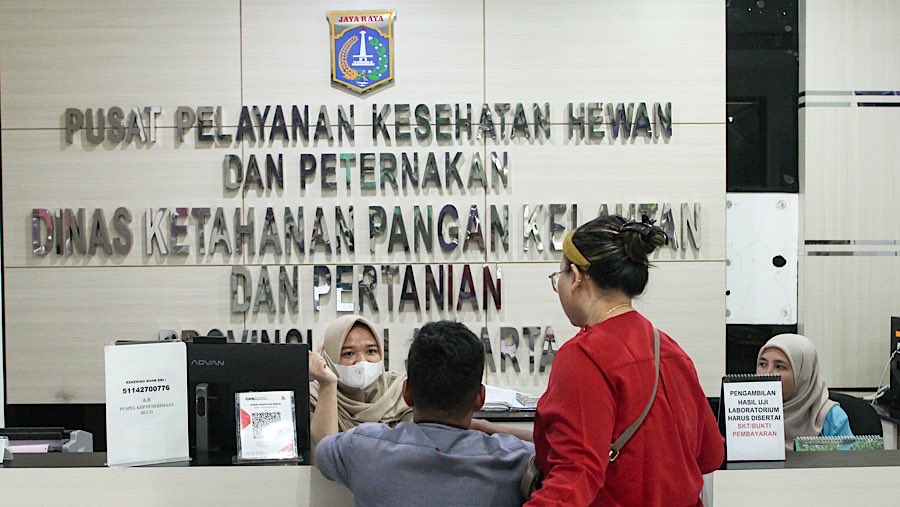 Nantinya, subsidi ini akan diberikan jika hewan peliharaan dibawa ke Pusat Kesehatan Hewan (Puskeswan).  (Bloomberg Technoz/Andrean Kristianto)