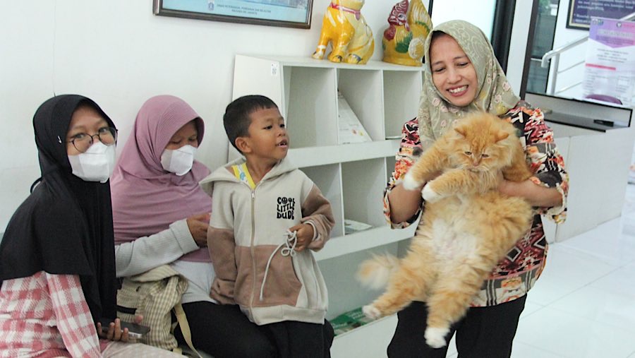 Unggahan di media sosial ramai membicarakan wacana BPJS Kesehatan untuk hewan yang akan diterapkan di Jakarta. (Bloomberg Technoz/Andrean Kristianto)
