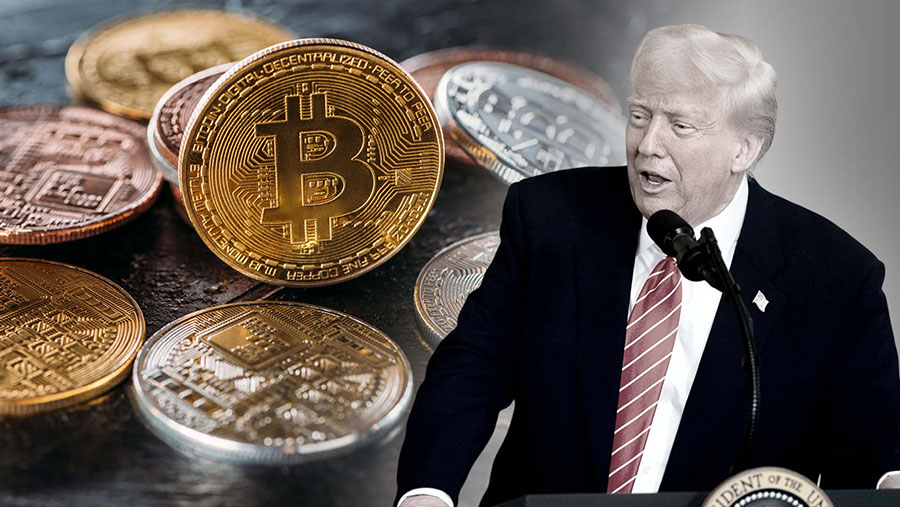 Efek Trump, Harga Bitcoin Tembus Rp1,78 Miliar (Foto: Diolah dari Berbagai Sumber)