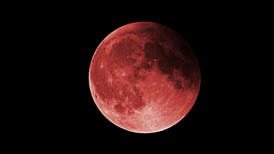 Ilustrasi Strawberry Moon (Envato/RLTheis)