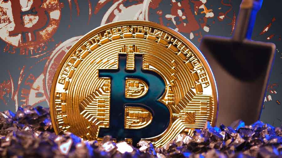 10 Daftar Pemilik Bitcoin Terbanyak Dunia, Ada Michael Saylor? (Bloomberg Technoz/Asfahan)