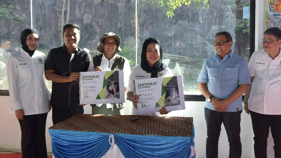 Titiek Soeharto Beri Nama Sepasang Bayi Harimau Sumatera (Dok. DPR RI)