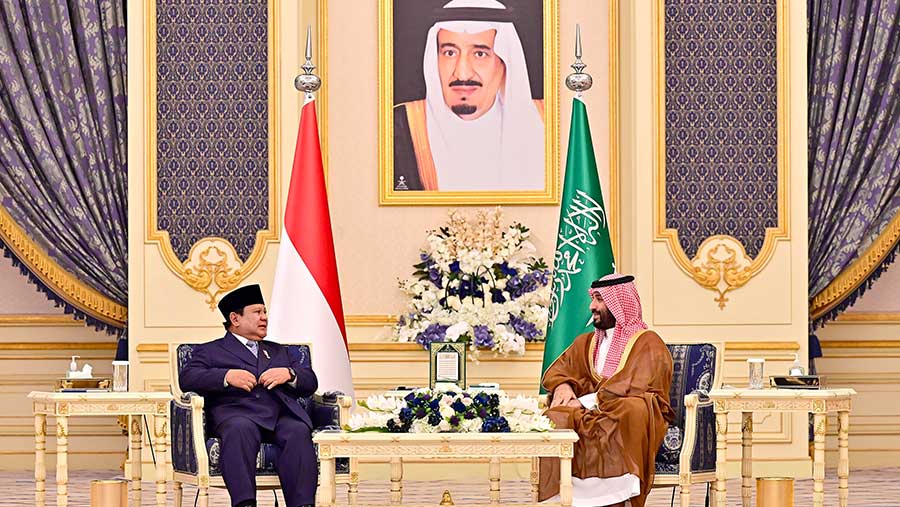 Presiden Prabowo Subianto bertemu Perdana Menteri Arab Saudi, Mohammed bin Salman Al Saud (Dok. Setpres RI)