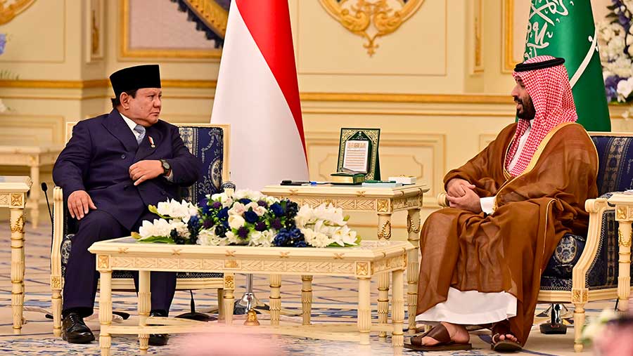 Presiden Prabowo Subianto bertemu Perdana Menteri Arab Saudi, Mohammed bin Salman Al Saud (Dok. Setpres RI)
