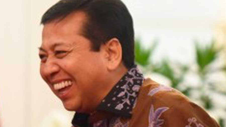 Eks Ketua DPR Setya Novanto (Humas Setkab/Rahmat)