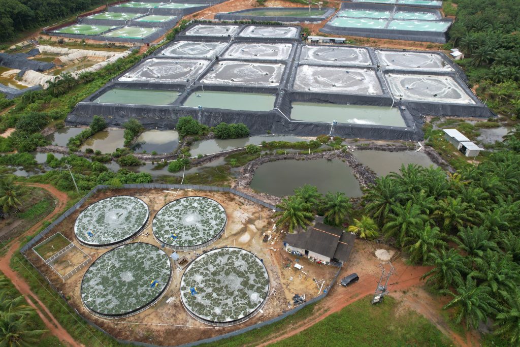 Fasilitas Budidaya Udang (PT Agro Bahari Nusantara Tbk UDNG)