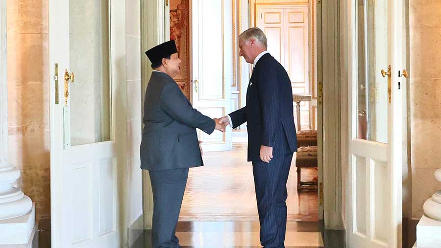 Presiden Prabowo Subianto bertemu dengan Raja Belgia, Raja Philippe di Istana Belgia, Ahad (13/07/2025). (Dok Setpres RI)