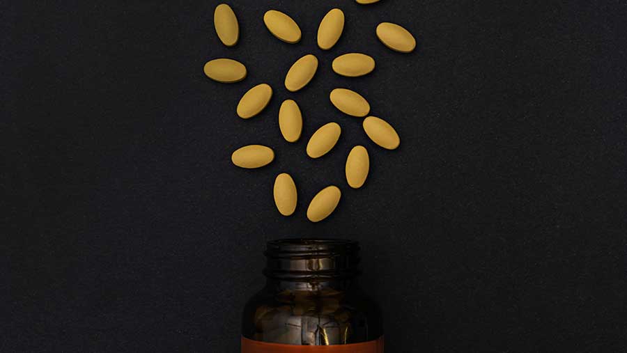 Ilustrasi Vitamin (Envato)
