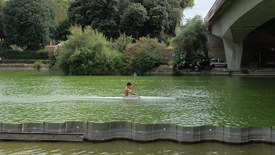 Akuarium Roma ini menawarkan alternatif dari situs-situs bersejarah dan gereja tua di ibu kota Italia (Mattia Bastianelli/Bloomberg)