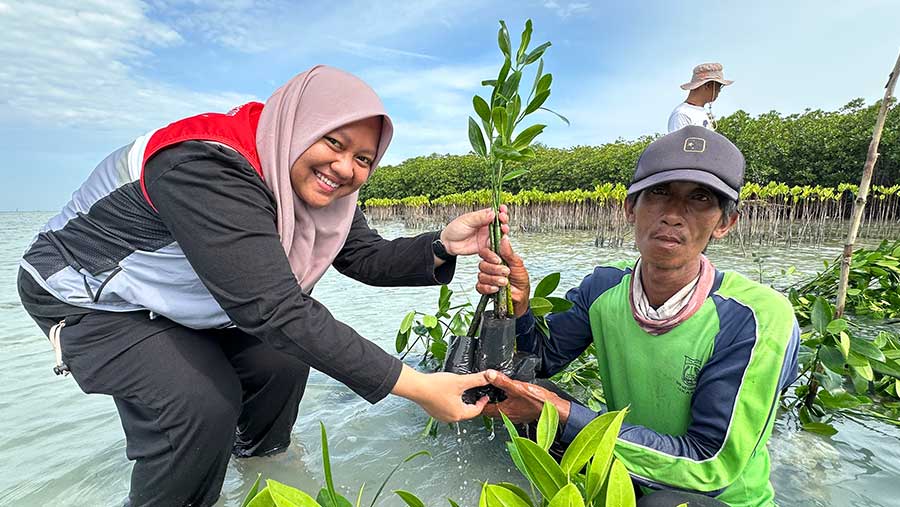 Melalui Program Tiga Perisai PHE OSES berkolaborasi dengan masyarakat Pulau Harapan melalui penanaman mangrove di Kepulauan Seribu. (Dok. PHE)