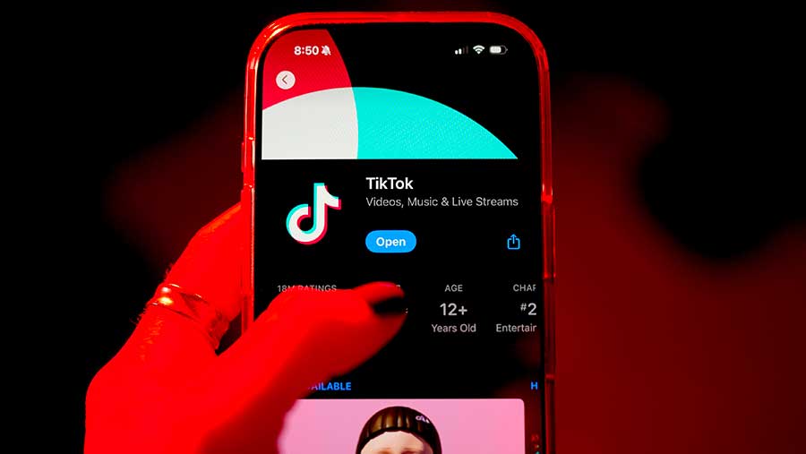 TikTok Perluas Fitur Pemeriksaan Fakta (Gabby Jones/Bloomberg)