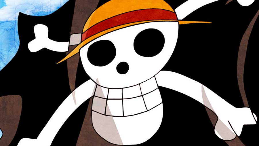 Bendera One Piece (Dok. One Piece)