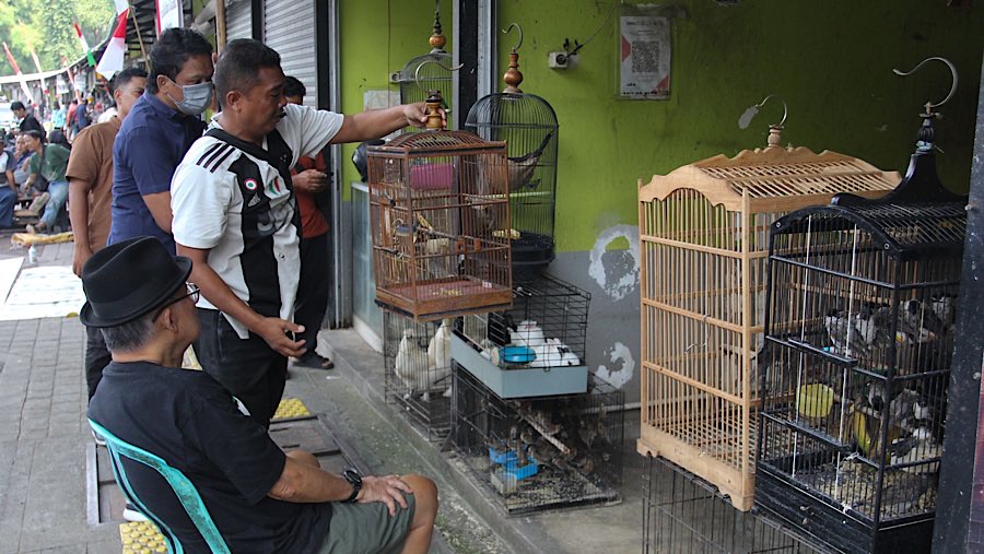 Para pedagang ditawari pembebasan biaya sewa selama 3 bulan yang bersedia direlokasi ke sejumlah pasar milik PD Pasar Jaya.