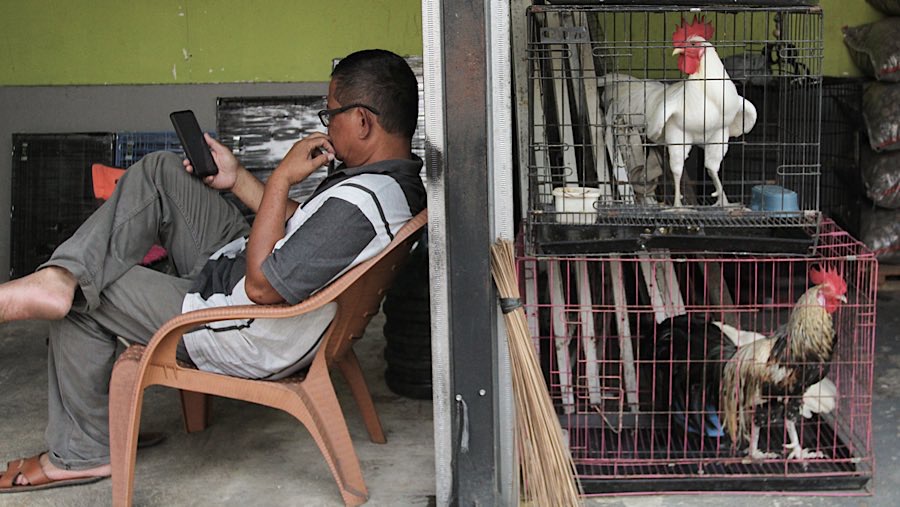 Pedagang menunggu pembeli di Pasar Burung Barito, Jakarta, Selasa (5/8/2025). (Bloomberg Technoz/Andrean Kristianto)
