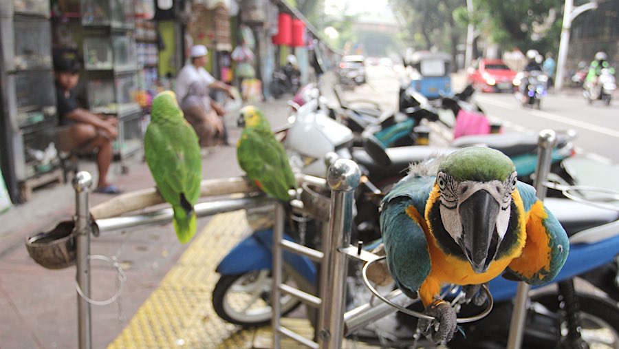 Meski ada relokasi para pedagang tetap membuka kios meski telah melewati tenggat waktu pengosongan. (Bloomberg Technoz/Andrean Kristianto)