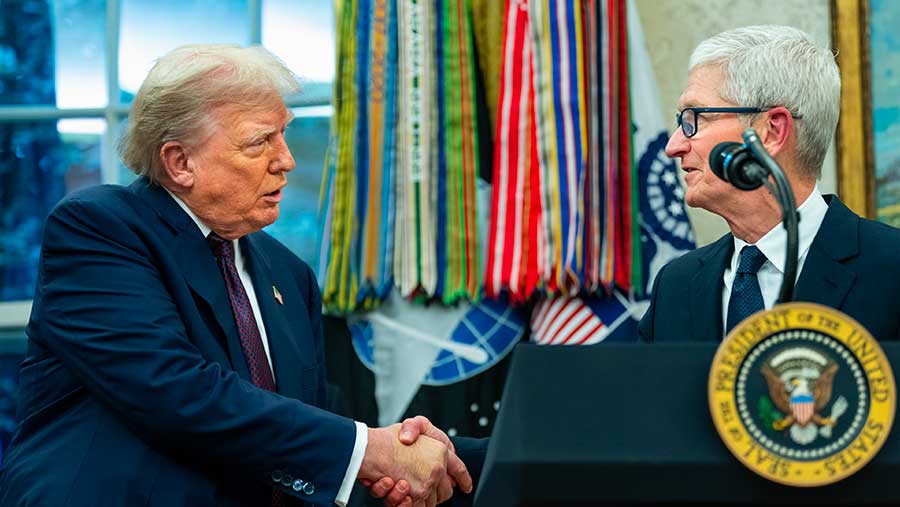 Trump akan mengenakan tarif 100% pada impor semikonduktor (Bloomberg)