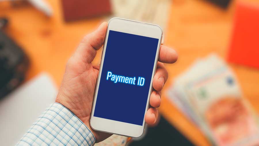 Ilustrasi Payment ID (Diolah)