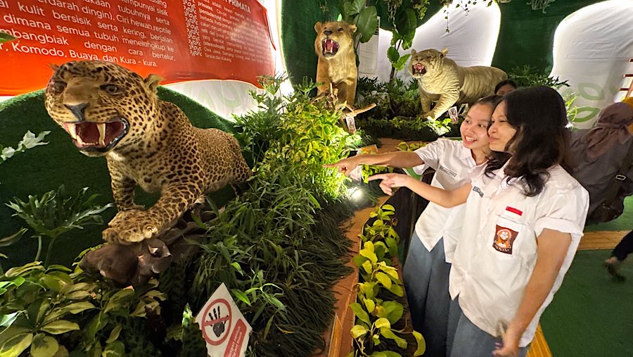 Pengunjung juga dapat melihat berbagai hewan yang telah diawetkan untuk edukasi dari Taman Margasatwa Ragunan. (Bloomberg Technoz/Andrean Kristianto)