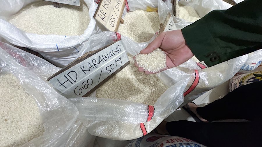 Calon pembeli memilih beras di salah satu agen di Kawasan Pejaten, Jakarta, Selasa (12/8/2025) (Bloomberg Technoz/Andrean Kristianto)
