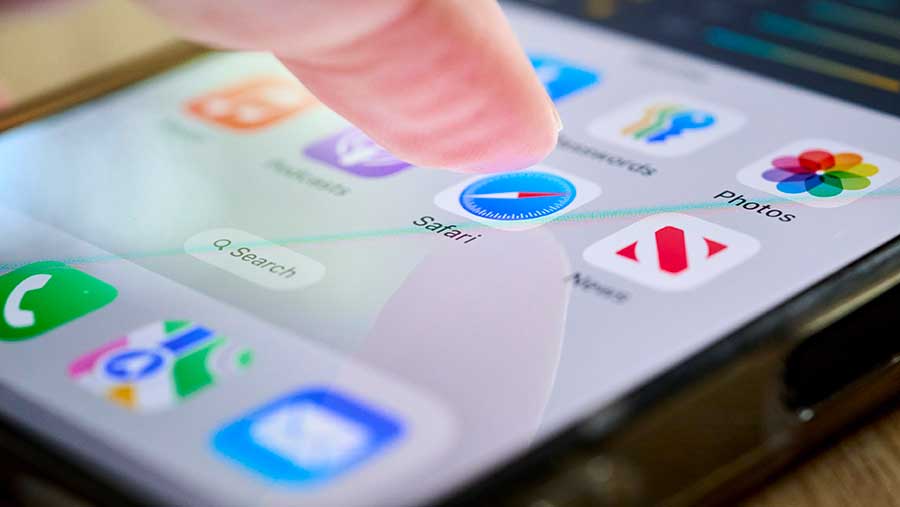 Ilustrasi Pencarian pada iPhone (Bloomberg)