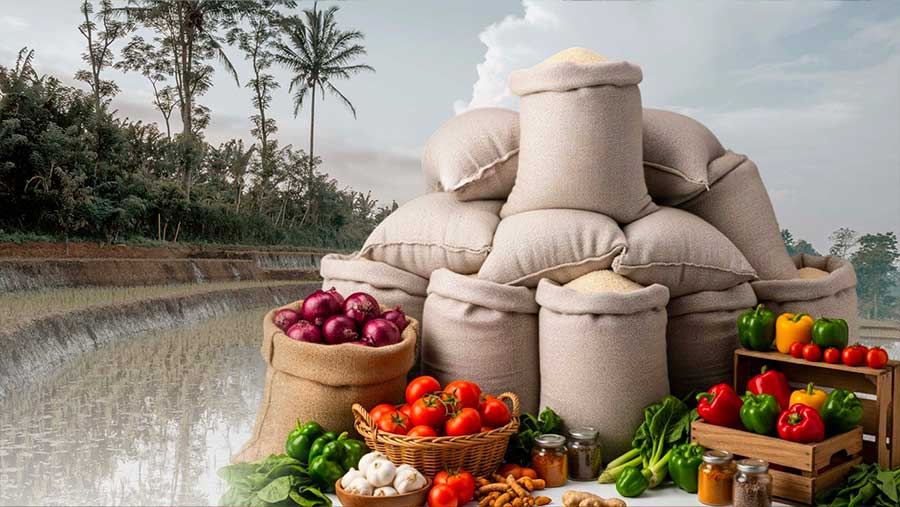 Pemerintah Siapkan Rp164,4 Triliun untuk Ketahanan Pangan (Diolah berbagai sumber)