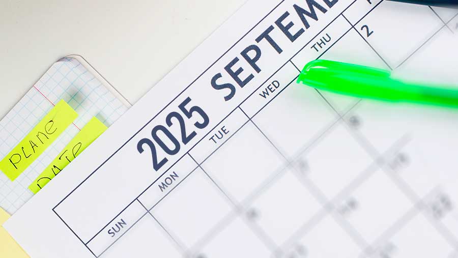 Ilustrasi Kalender September 2025 (Envato/Diolah)