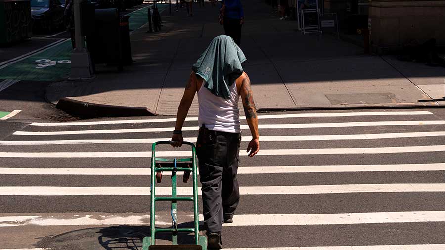 Suhu Panas di New York. (Adam Gray/Bloomberg)