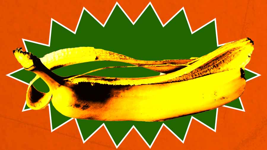 Deretan Manfaat Kulit Pisang yang Jarang Diketahui Banyak Orang (Bloomberg Technoz/Asfahan)