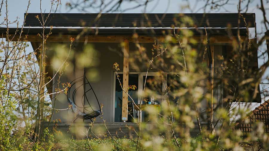 Ilustrasi rumah sempit bergaya Japandi (Envato)