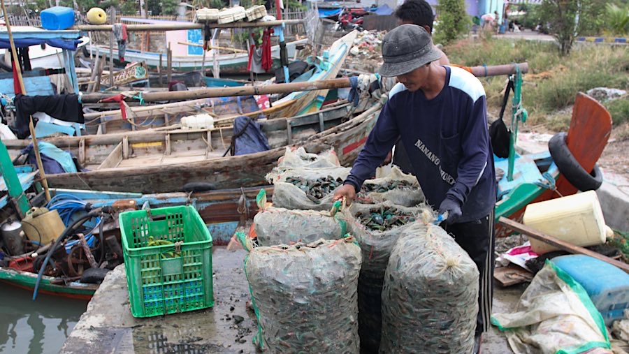 Nelayan mengemas kerang hijau hasil tangkapan di Cilincing, Jakarta Utara, Kamis (11/9/2025). (Bloomberg Technoz/Andrean Kristianto)