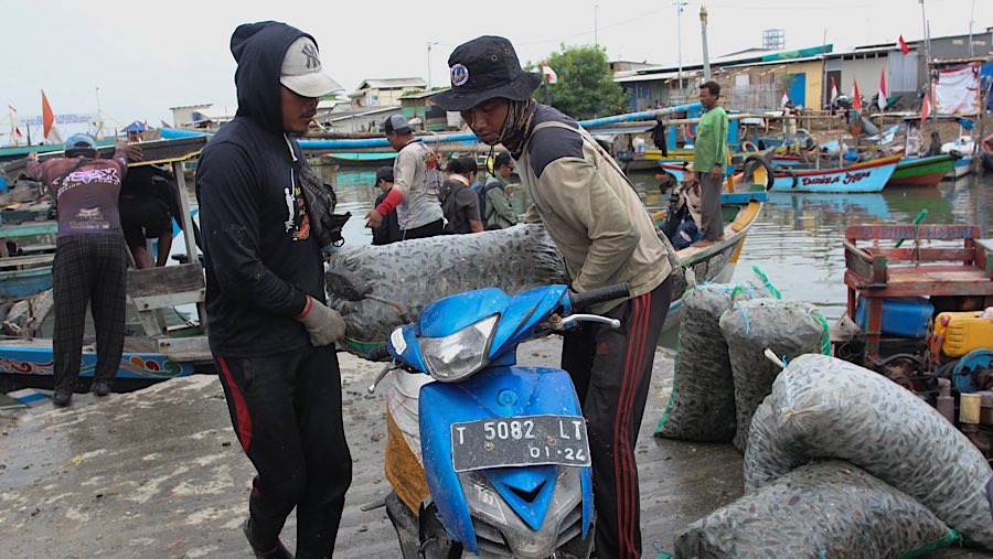 Nelayan membawa kerang hijau hasil tangkapan di Cilincing, Jakarta Utara, Kamis (11/9/2025). (Bloomberg Technoz/Andrean Kristianto)