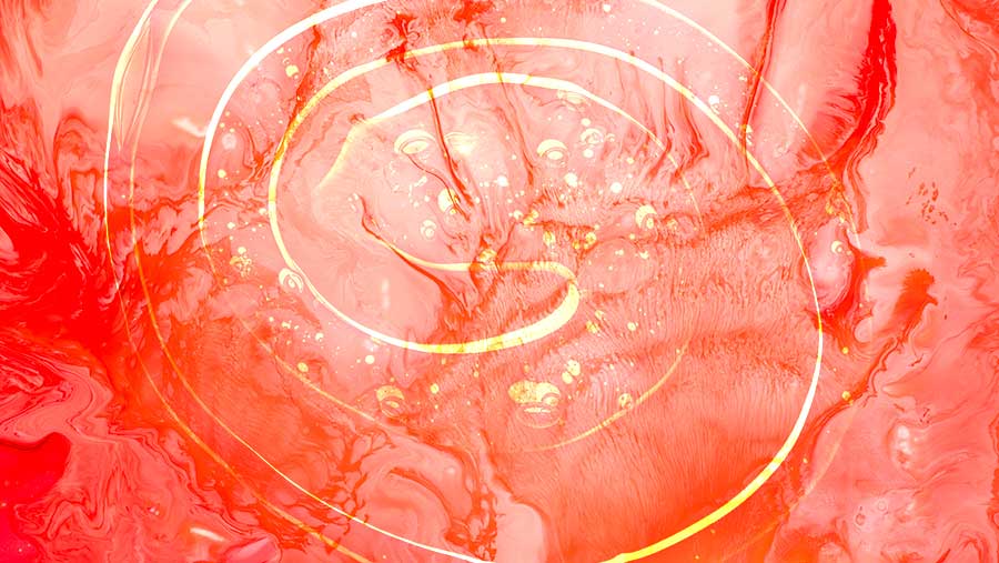 Ilustrasi Cacing Gelang dalam Tubuh (Diolah)