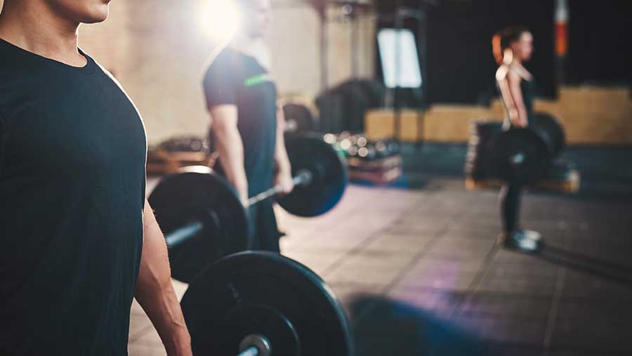 Ilustrasi olahraga angkat beban dan gym. (Envato)