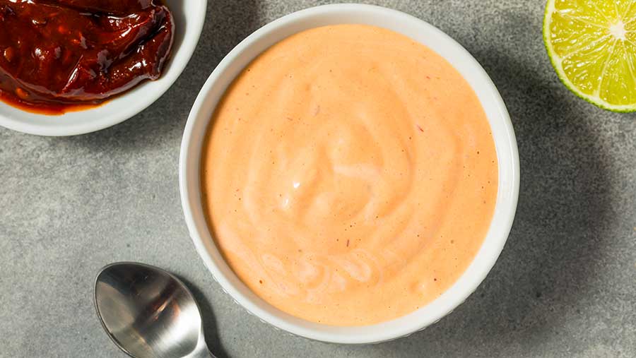 Ilustrasi saus mentai (Envato)