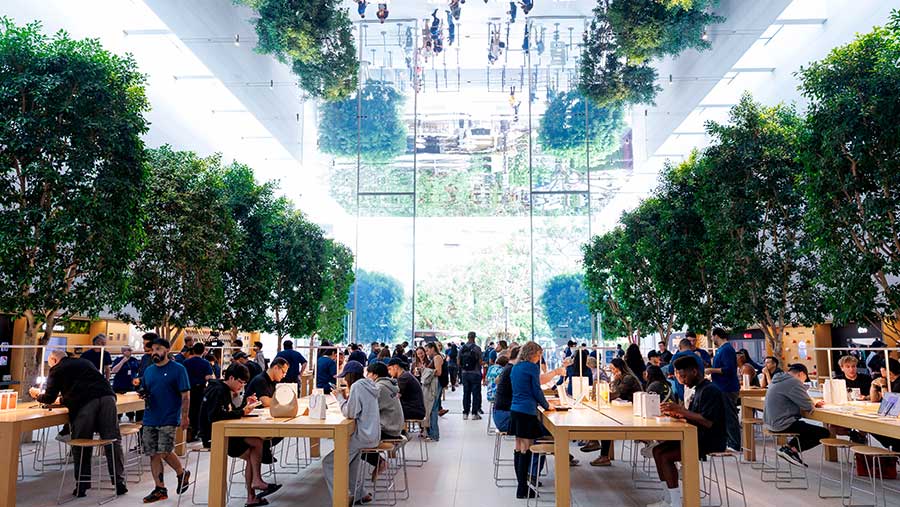 Apple iPhone 17 Mulai Dijual (Eric Thayer/Bloomberg)